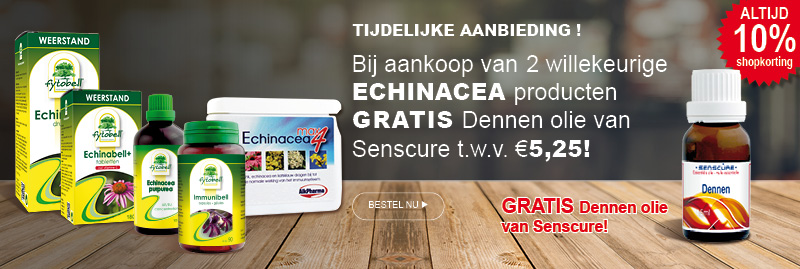 Echinacea Immunibell Dennenolie Banner